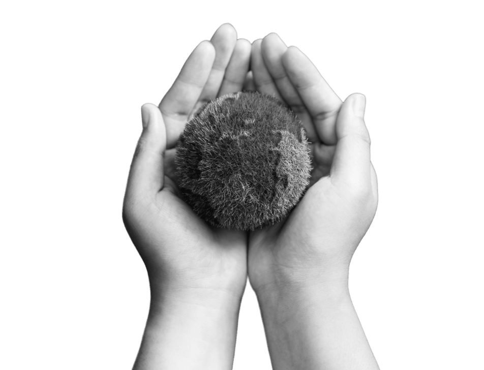 Building your RevOps discipline